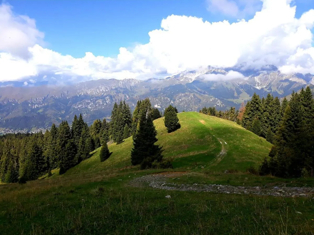 181 - Casa Arcobaleno Tra Le Alpi, Piste Da Sci A 15 Minuti Apartment Castione della Presolana